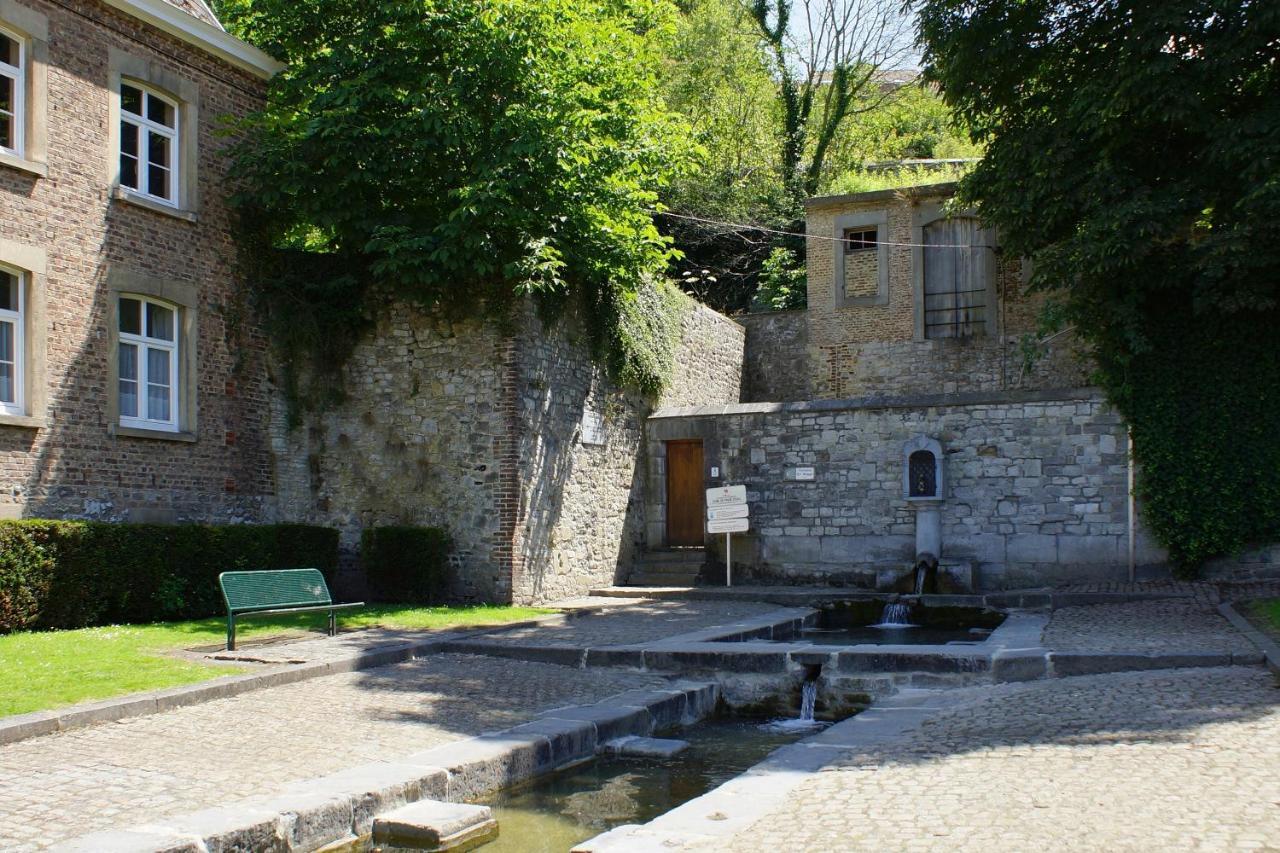La Petite Ourse - De Charme Citadin * Andenne